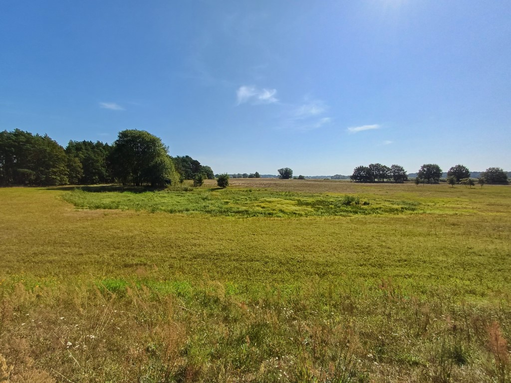 Amphibiensenke