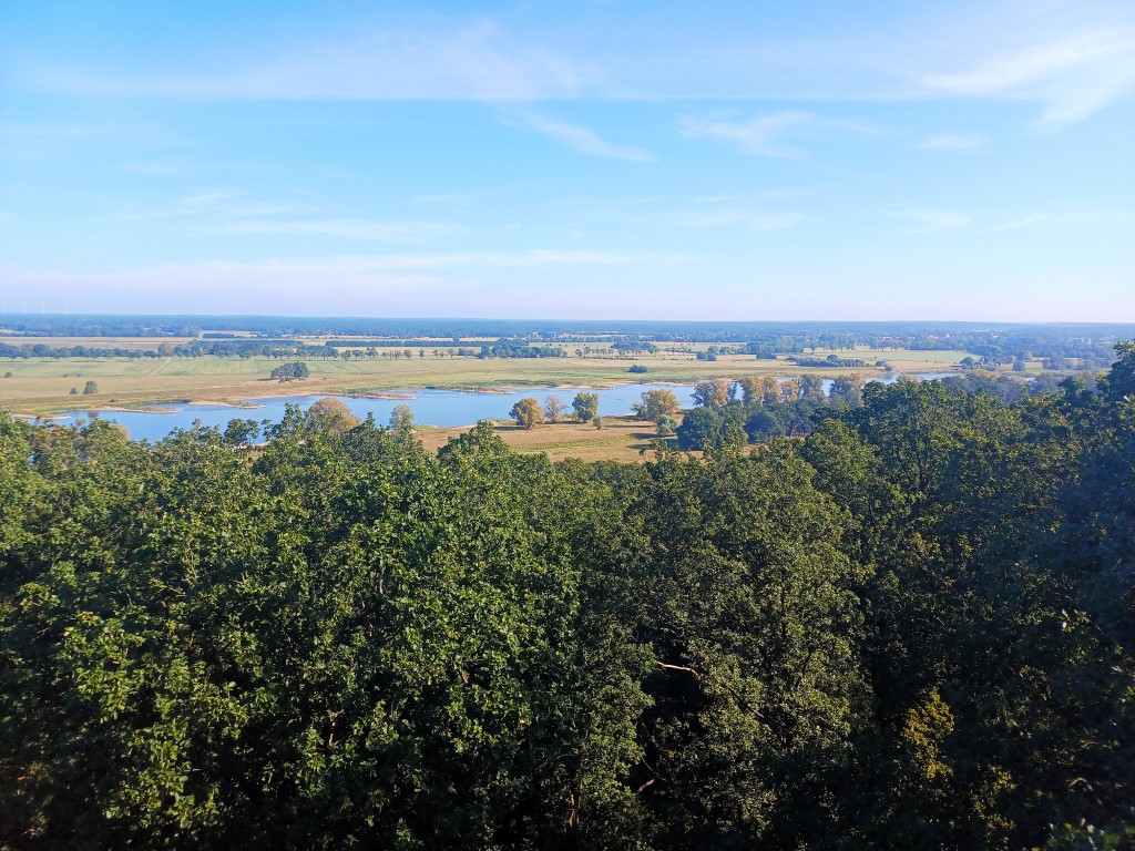 Blick auf die Elbe vom Aussichtsturm auf dem Höhbeck