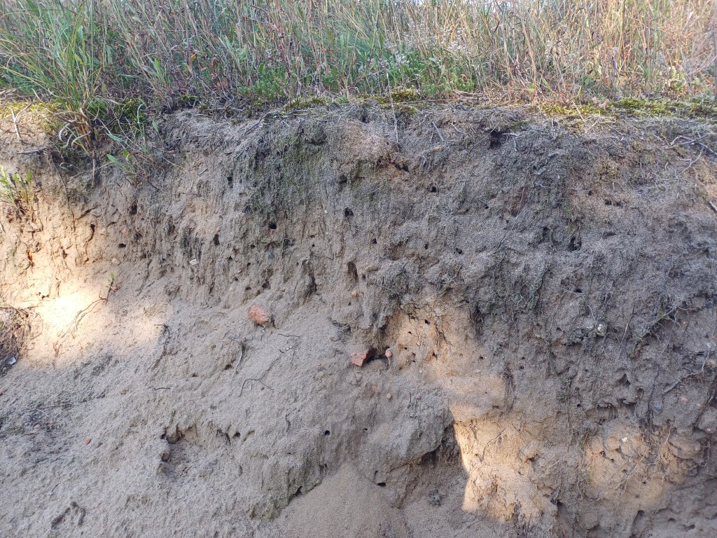 Abbruchkante in Laasche